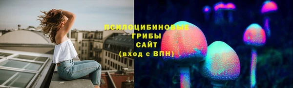 хмурый Верхний Тагил