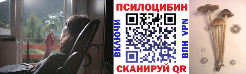 Псилоцибиновые грибы Magic Shrooms  Купить где  Саянск 